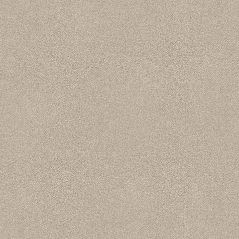 Shortbread carpet swatch